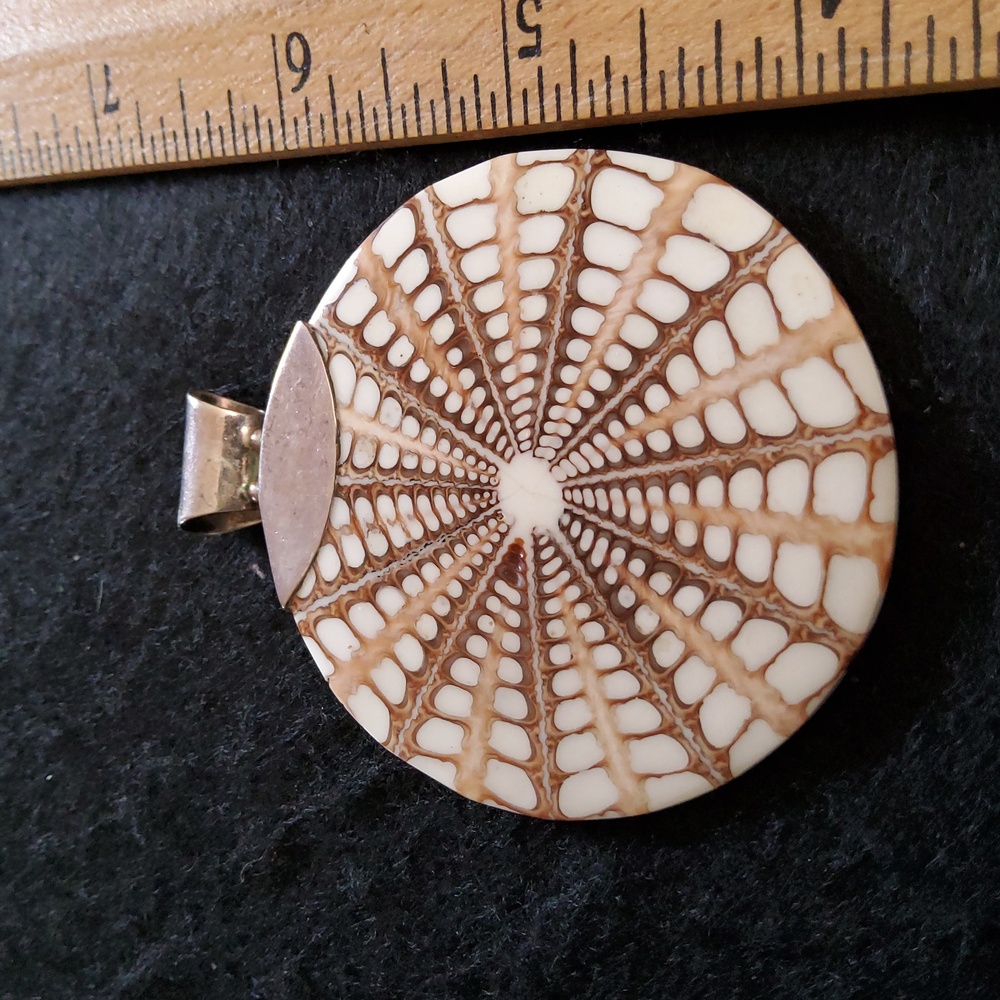 Elegant Brown and Cream Shell Large Pendant Sterling SilverNecklace